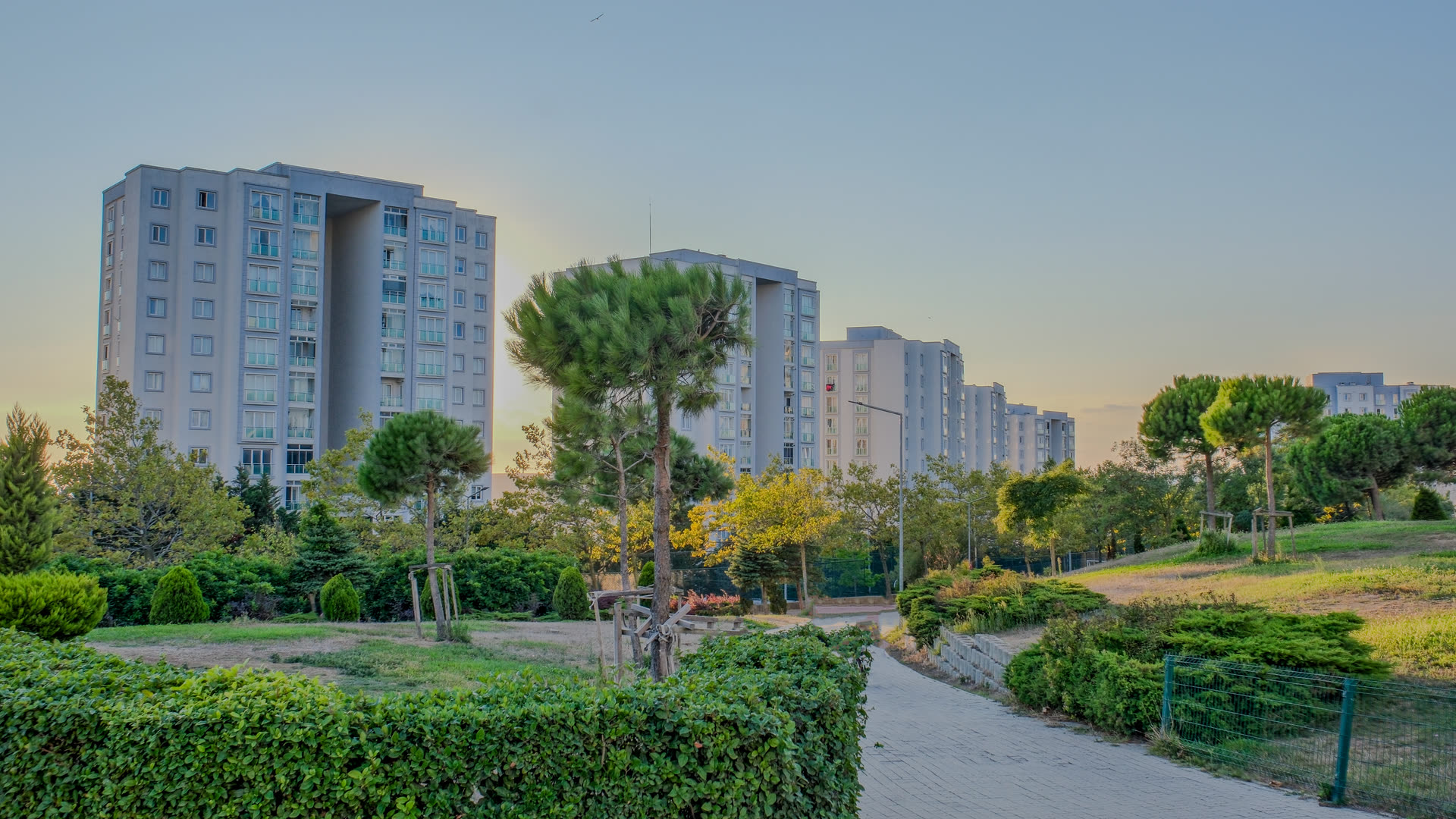 Bloklar ve bakımlı yeşil alanlar